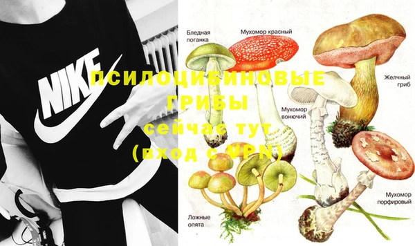 марки nbome Алзамай