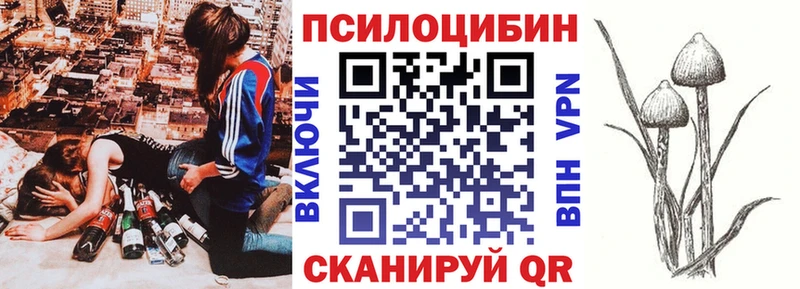 где можно купить   OMG как войти  Галлюциногенные грибы мицелий  Новопавловск 